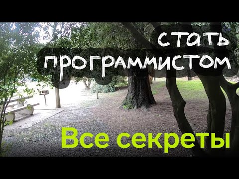 Видео: Все секреты: как стать программистом в 2021