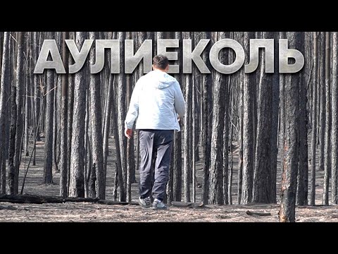 Видео: Аулиекольский район. Жизнь ДО и ПОСЛЕ пожаров.