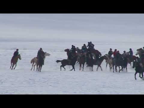 Видео: Көкпар Төлеби ауданы Саңлақ атшабары