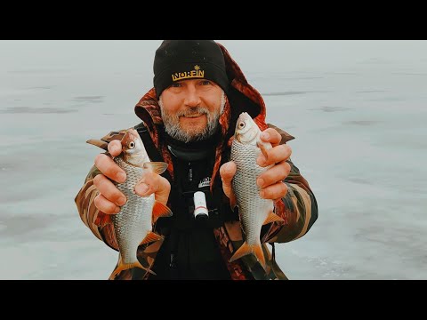 Видео: ДНІПРОВІ БАТОНИ!!! Зимова риболовля на ВОДОСХОВИЩІ 2024