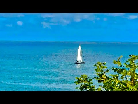 Видео: Девочки, чтобы быть счастливой, нужно просто пристрелить в себе ломовую лошадь)))