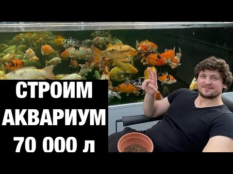 Видео: Строим аквариум на 70 тонн для карпов Кои. Все этапы работ. Реконструкция пруда. Компания Атолл био