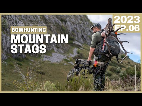 Видео: Охота на горных оленей с луком: Окончательное испытание 🔥 Чего бы это ни стоило! 🏹