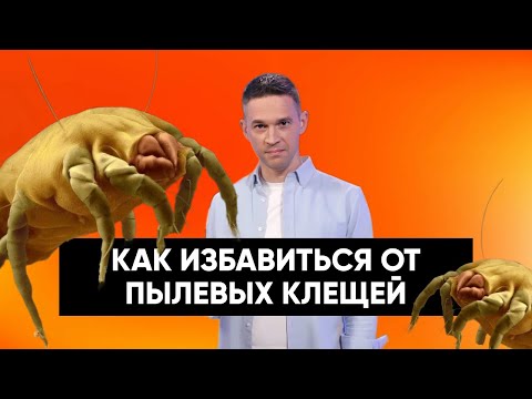 Видео: КАК ИЗБАВИТЬСЯ ОТ ПЫЛЕВЫХ КЛЕЩЕЙ