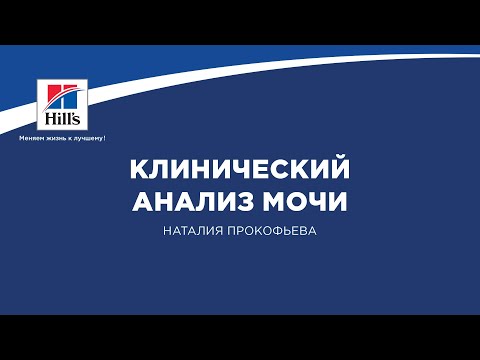 Видео: Вебинар №11 школы НЕФРОУРОВЕТ: "Клинический анализ мочи". Лектор - Наталия Прокофьева.