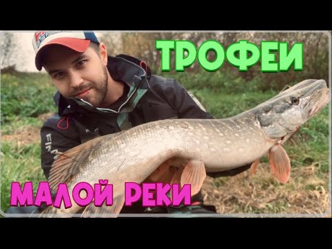 Видео: ТРОФЕИ МАЛОЙ РЕКИ !!!