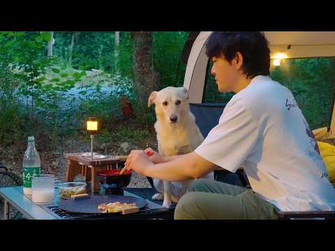 Видео: Что происходит, когда вы идете в поход с собакой? 🐕🔥 Забавные и уютные моменты