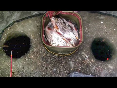 Видео: Использовал эту хитрость и поймал ведро крупной плотвы. Рыбалка на льду ночью, в палатке.