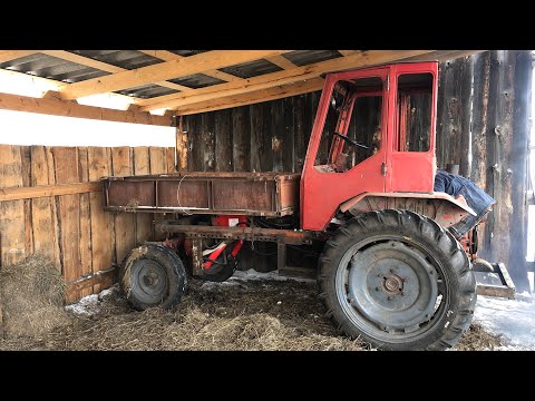 Видео: Помощник по Хозяйству Т -16 . Обзор Хозяйства за 11 января .