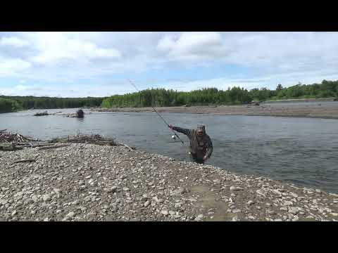 Видео: камчатка Ича 23г