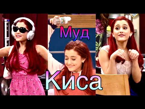 Видео: МУД КИСА | Виктория Победительница