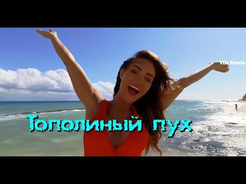 Видео: Ayur Tsyrenov ft. AnasteZia - Тополиный пух (Иванушки International cover) clip 2K19 ★VDJ Puzzle★