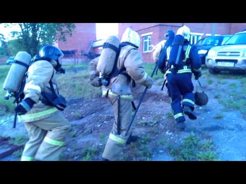 Видео: Звено ГДЗС