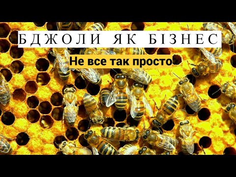 Видео: Бджільництво як бізнес! Чи можна заробити гроші на пасіці.