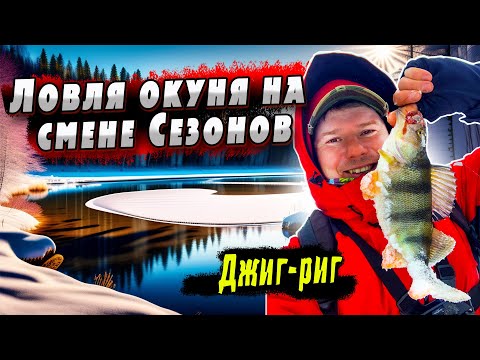 Видео: Марток-надевай 7 порток! | Джиг-риг | Окунь на Vikhcraw