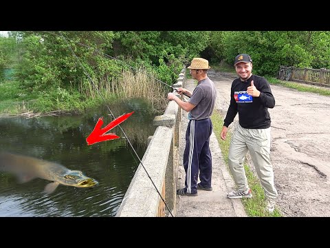 Видео: ДЕД ВЗЯЛ УЛЬТРАЛАЙТ и ПОНЕСЛАСЬ!!! Рыбалка на ультралайт Select Ritmix 0.5-5g в заросших местах