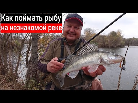 Видео: Как найти и поймать рыбу на новом участке реки осенью? Нюансы и секреты берегового спиннинга