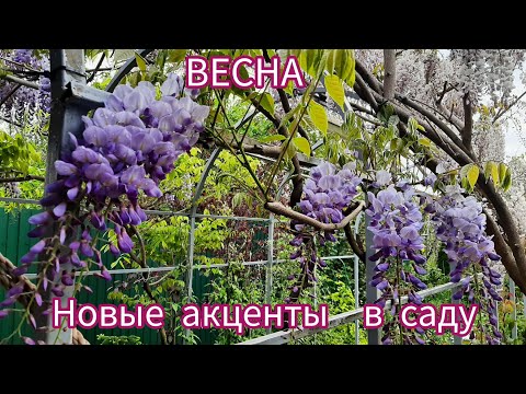 Видео: ВЕСНА!!! Новые акценты моего сада