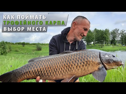 Видео: Как поймать трофейного карпа / Выбор места