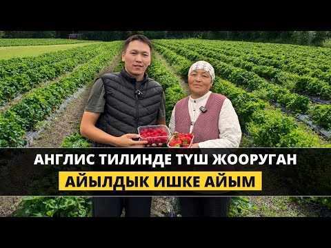 Видео: Аз жерди англисче сүйлөп өнүктүргөн айым