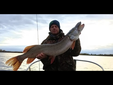 Видео: Супер закрытие сезона  Наловили кучу рыбы на тролинг!!!