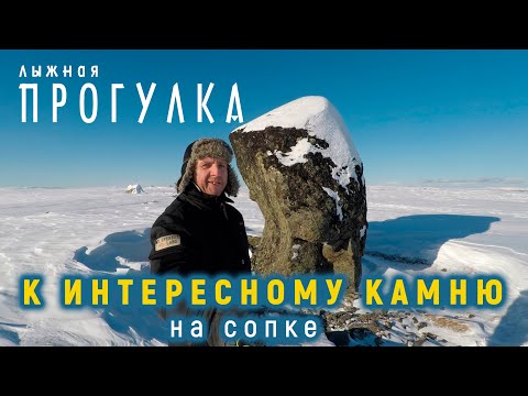 Видео: Прогулка к интересному камню | Такого я ещё не видел