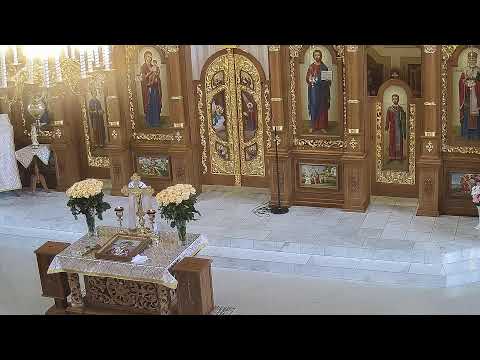 Видео: 10.11 Молитва за перемогу і мир. 9:00 год