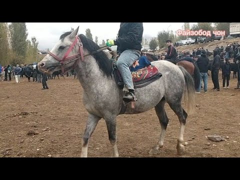 Видео: Молбозори Мискинобод 5 октябр 