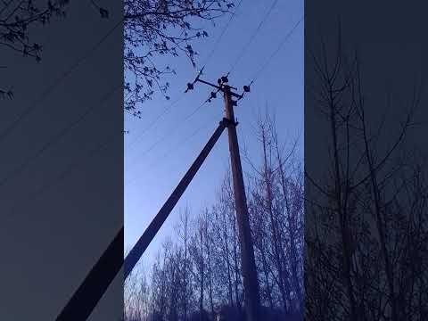 Видео: Нашол изолятор ПФ у анкерной опоры 10 КВ