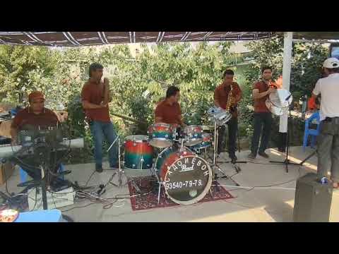 Видео: Туй дар н Ёвон лесной