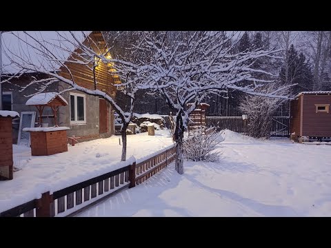Видео: СОСЕДИ УДИВИЛИСЬ КОГДА УВИДЕЛИ ЭТО СОБСТВЕННЫМИ ГЛАЗАМИ