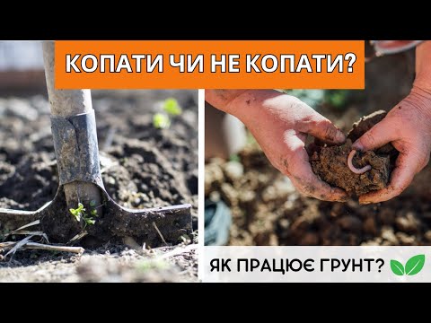 Видео: Копати чи не копати? Як працює ґрунт