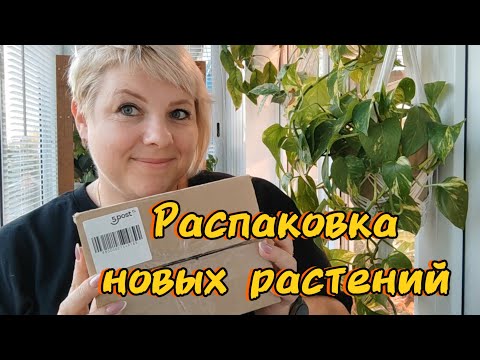Видео: Распаковка посылки с новыми растениями 