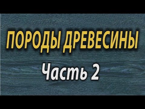 Видео: Породы древесины # 2 . ТиП СС