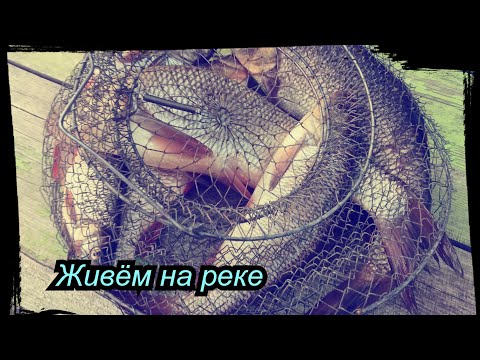 Видео: НА ТАЕЖНОЙ РЕКЕ  / ЛОВИМ РЫБУ / ВСЕ СЕРИИ  ПОДРЯД  №2