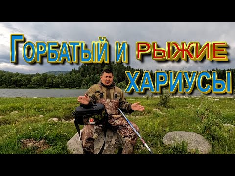 Видео: Ловлю горбатых и рыжих Хариусов_Учимся менять поводки