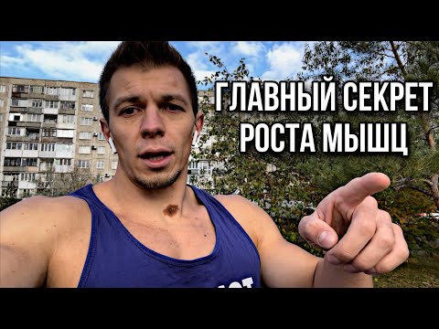 Видео: ОТ ЧЕГО РАСТУТ МЫШЦЫ? КАК НАПИСАТЬ ПРОГРАММУ ТРЕНИРОВОК?