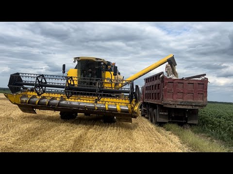 Видео: Урожай ячмінь Радіум 2025. Неочікувано результати