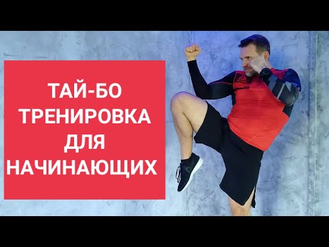 Видео: Тай-бо для новичков.