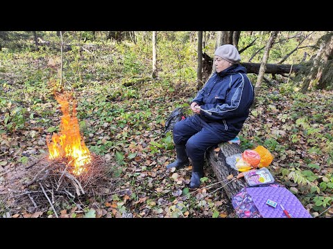 Видео: В лес с костром, и грибы. Нарвали огромных яблок. Пермь, 30 сент 2025