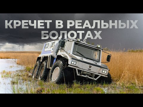 Видео: Вездеход КРЕЧЕТ X310 в реальных болотах