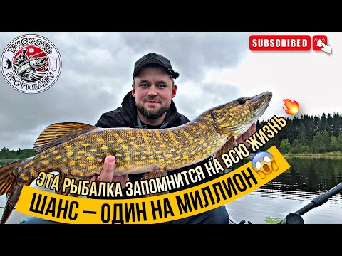 Видео: ШОК РЫБАЛКА‼️ ЩУКА-МОНСТР АТАКУЕТ😱 ЛУЧШАЯ РЫБАЛКА СЕЗОНА🔥