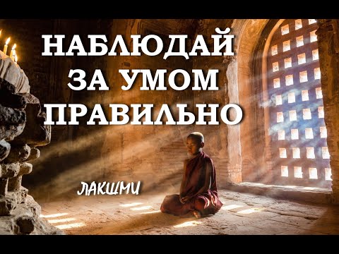 Видео: ПРАВИЛЬНОЕ НАБЛЮДЕНИЕ ЗА УМОМ [ЛАКШМИ, озв.Никошо]