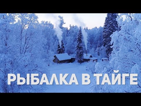 Видео: РЫБАЛКА НА ДИКИХ ОЗЕРАХ ТАЙГИ.  Рыболовная экспедиция в Архангельскую тайгу. Часть 2