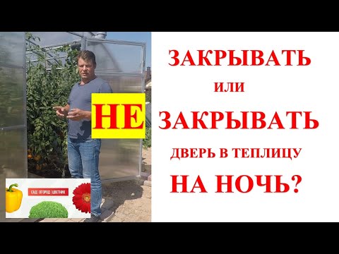 Видео: надо ли закрывать теплицу на ночь? не надо закрывать дверь в теплице