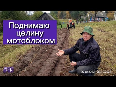 Видео: Первый снег. Поднимаю целину тяжелым дизельным мотоблоком. Плуг PL 130.