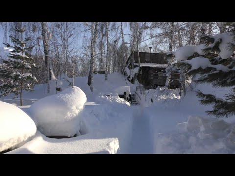 Видео: На пасеку в Рождество