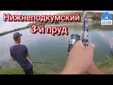 Видео: Рыбалка(КМВ). Ставропольский край. Нижнеподкумский 3-й пруд🎣. Нашёл клëвное местечко🐟
