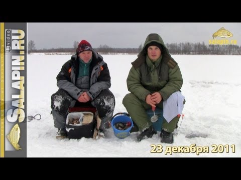 Видео: Скоростная ловля мелкого окуня со льда [salapinru]