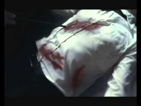 Видео: Шоколад